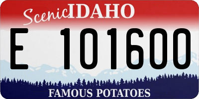 ID license plate E101600