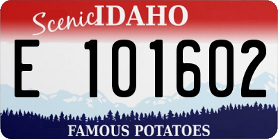 ID license plate E101602