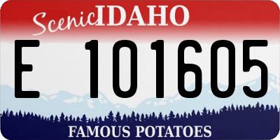 ID license plate E101605