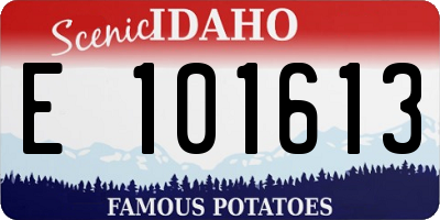 ID license plate E101613