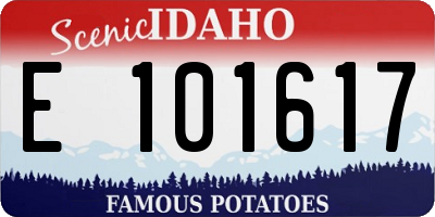 ID license plate E101617