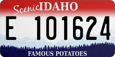 ID license plate E101624