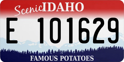 ID license plate E101629