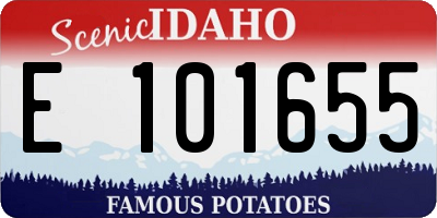 ID license plate E101655