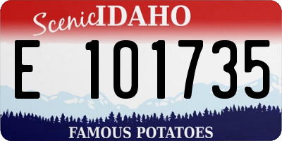 ID license plate E101735