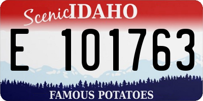 ID license plate E101763