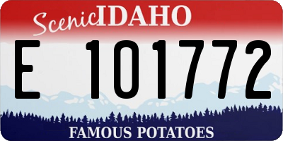 ID license plate E101772