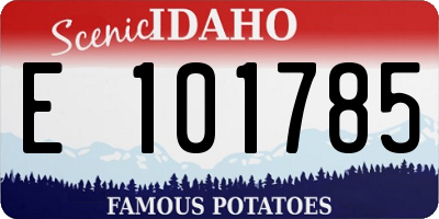 ID license plate E101785