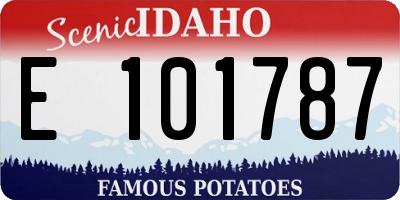 ID license plate E101787