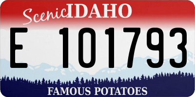 ID license plate E101793