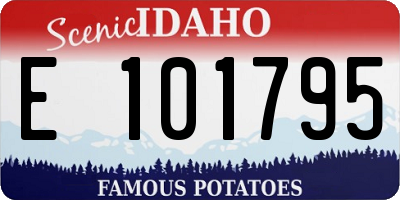 ID license plate E101795