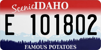 ID license plate E101802