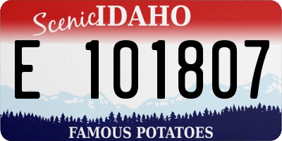 ID license plate E101807
