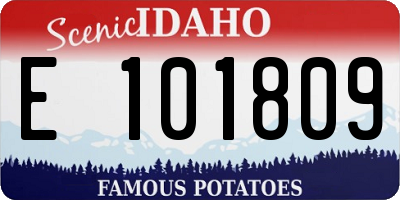 ID license plate E101809