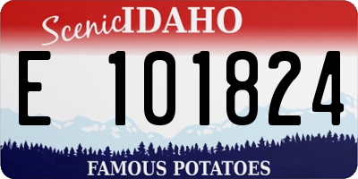 ID license plate E101824