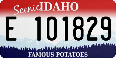 ID license plate E101829