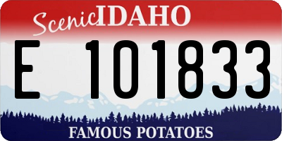 ID license plate E101833