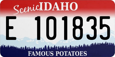 ID license plate E101835