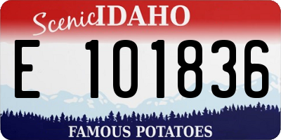 ID license plate E101836