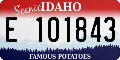 ID license plate E101843