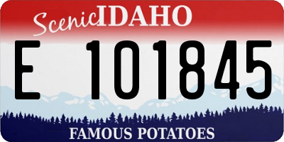 ID license plate E101845