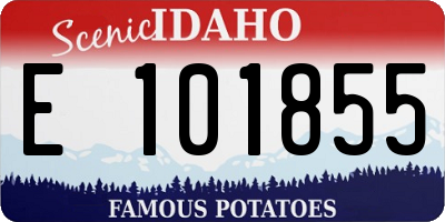 ID license plate E101855