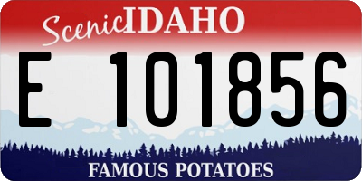 ID license plate E101856