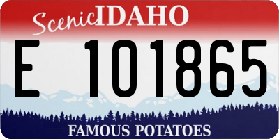 ID license plate E101865