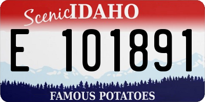 ID license plate E101891