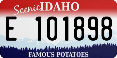 ID license plate E101898