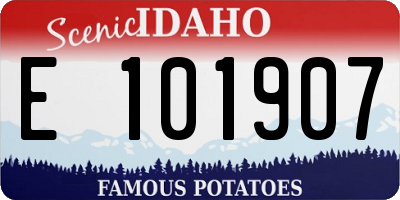ID license plate E101907