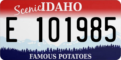 ID license plate E101985
