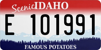 ID license plate E101991