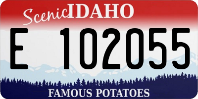 ID license plate E102055
