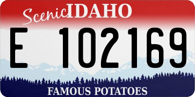 ID license plate E102169