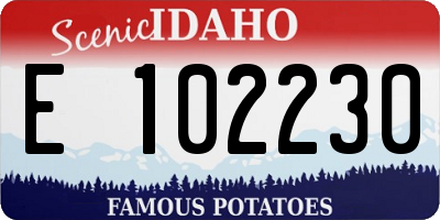 ID license plate E102230