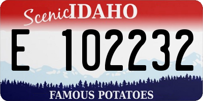 ID license plate E102232