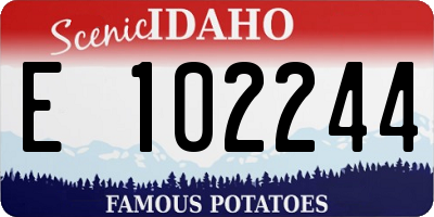 ID license plate E102244