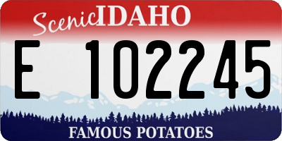 ID license plate E102245