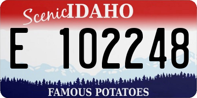 ID license plate E102248