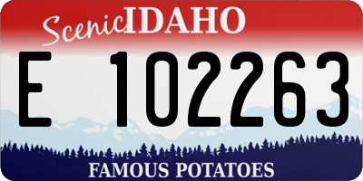 ID license plate E102263