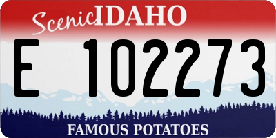 ID license plate E102273