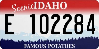 ID license plate E102284