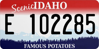 ID license plate E102285