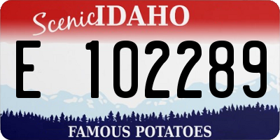 ID license plate E102289