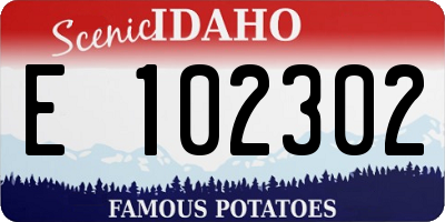 ID license plate E102302