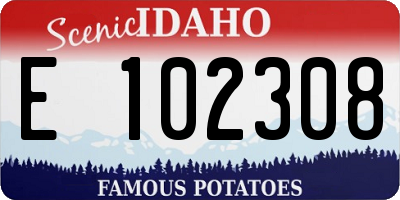 ID license plate E102308