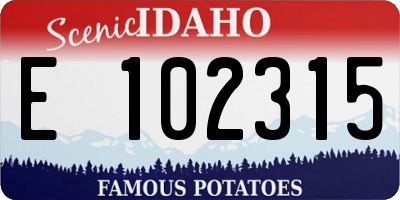 ID license plate E102315