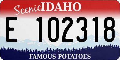 ID license plate E102318