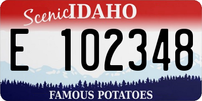 ID license plate E102348
